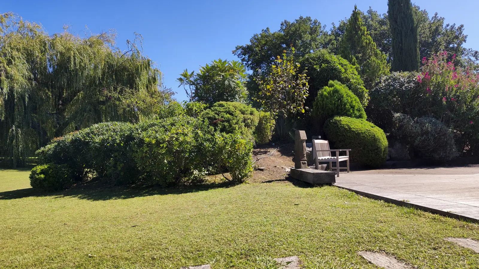 Après : arbustes taillés en volumes arrondis, pelouse tondue près de la terrasse.