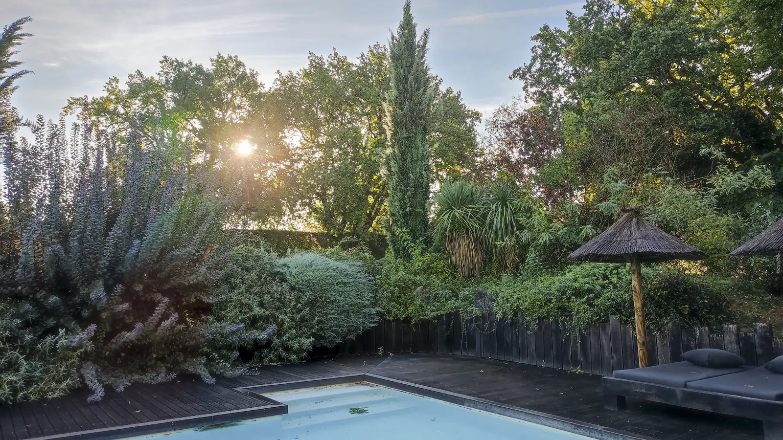 Avant : végétation dense autour de la piscine et du parasol.