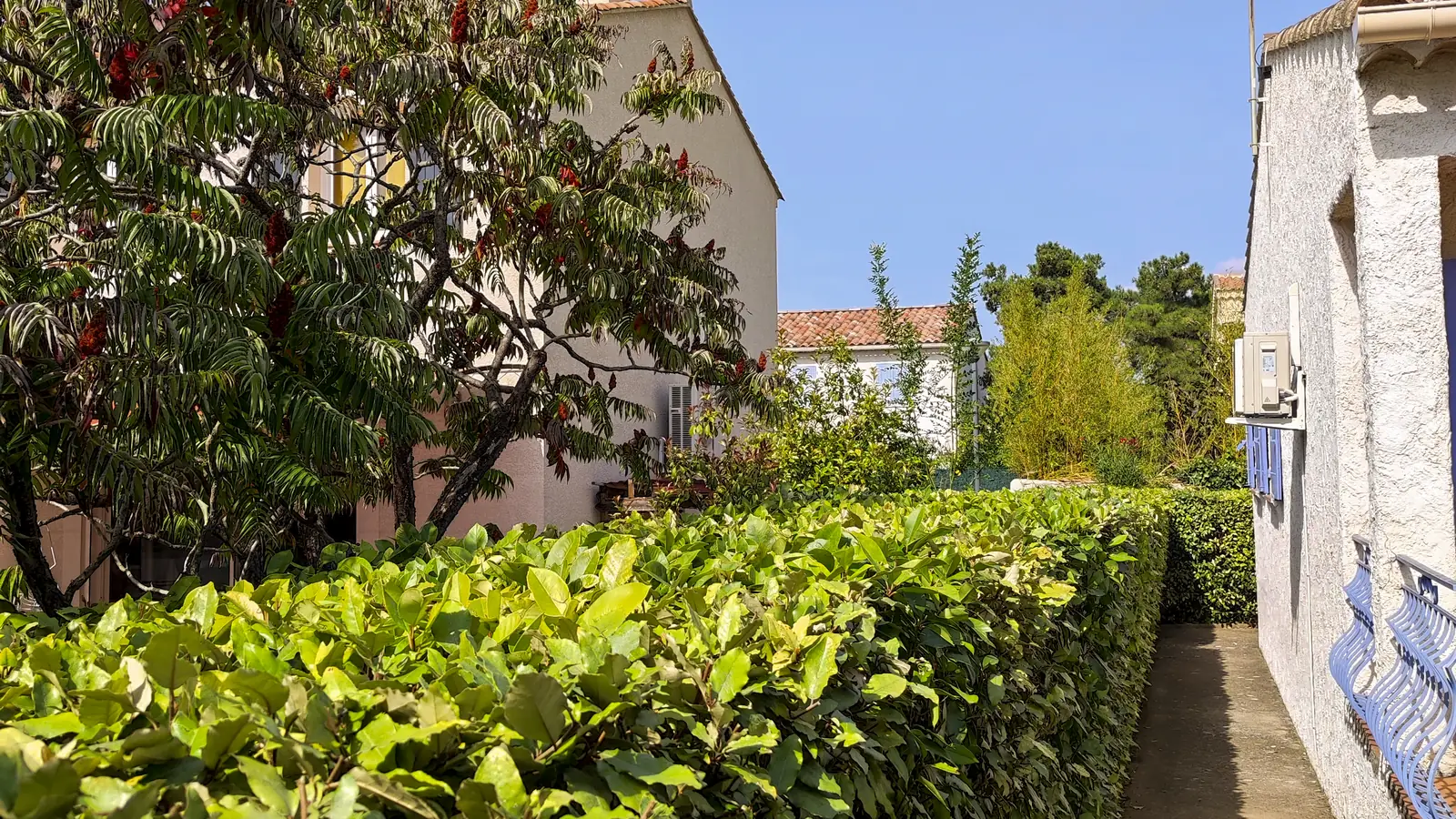 Après : haie taillée régulièrement le long de la maison, passage dégagé.